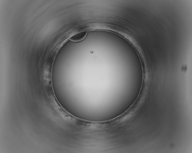 X0000114000905200910021313