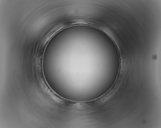 X0000114000906200910021313