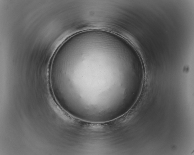 X0000114000907200910021313