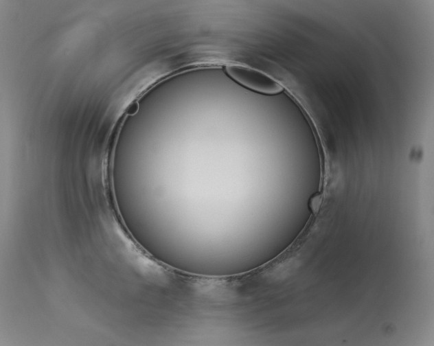 X0000114000909200910021313
