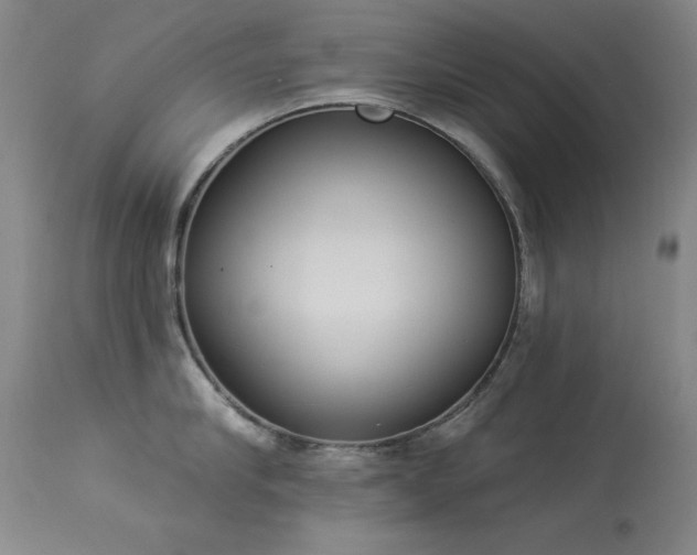 X0000114000910200910021313