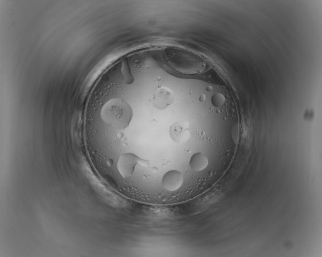 X0000114000911200910021313