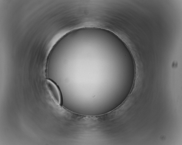 X0000114000912200910021313