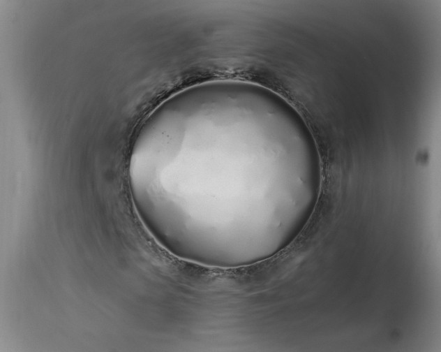 X0000114000913200910021312