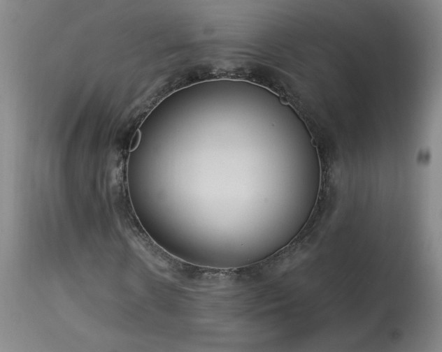 X0000114000914200910021312