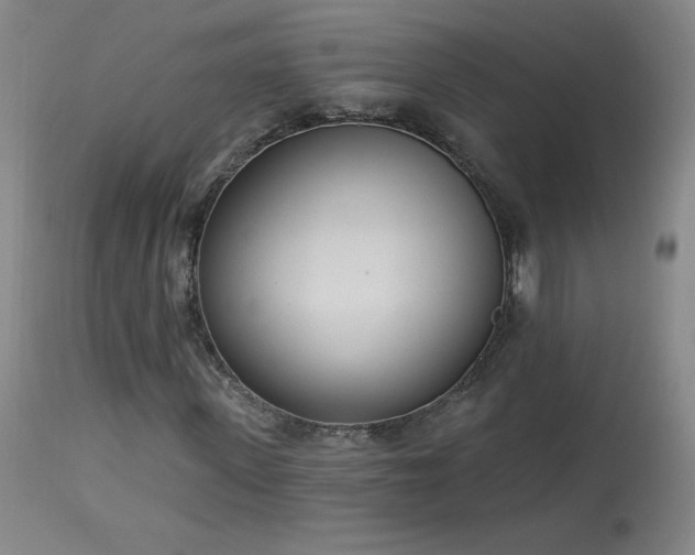 X0000114000915200910021312