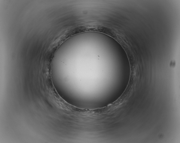 X0000114000916200910021312