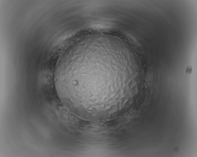 X0000114000917200910021312