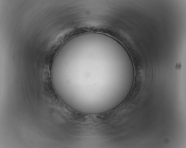X0000114000918200910021312