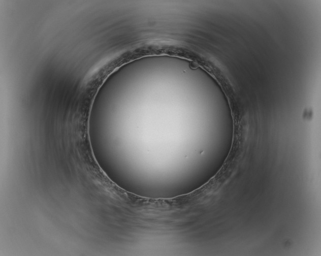 X0000114000919200910021312