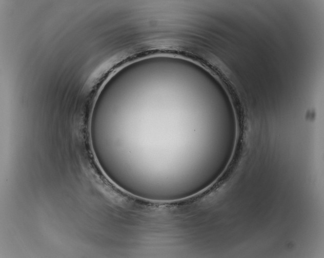 X0000114000922200910021313