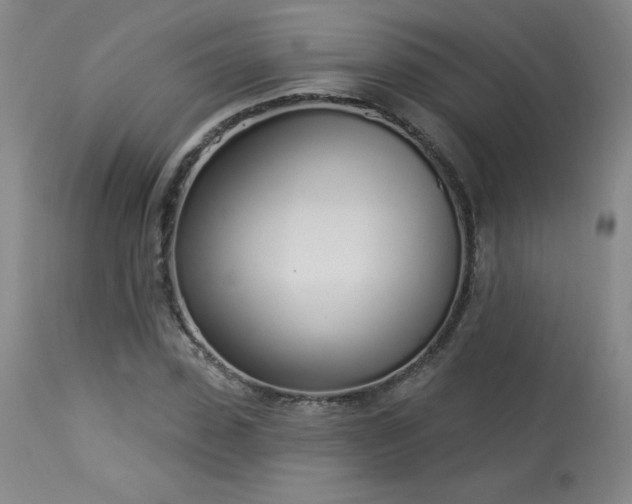 X0000114000923200910021313