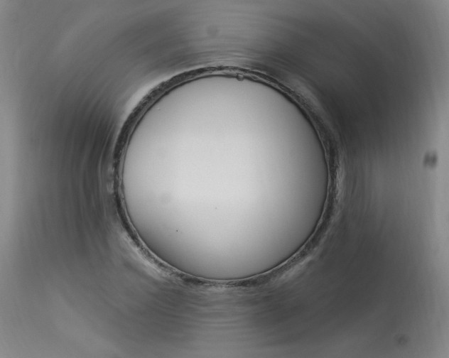 X0000114000924200910021313