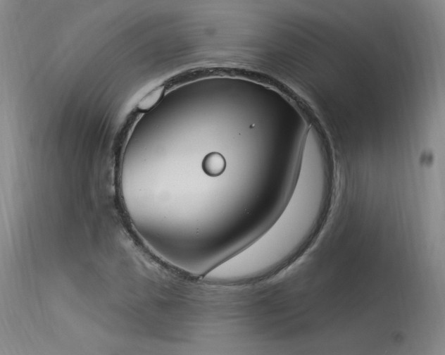X0000114000925200910021313