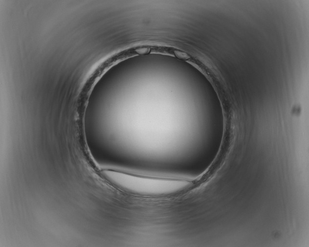 X0000114000926200910021313