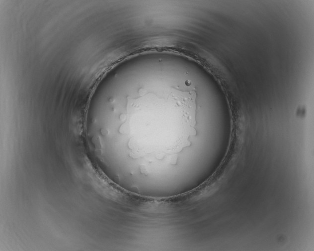 X0000114000929200910021313