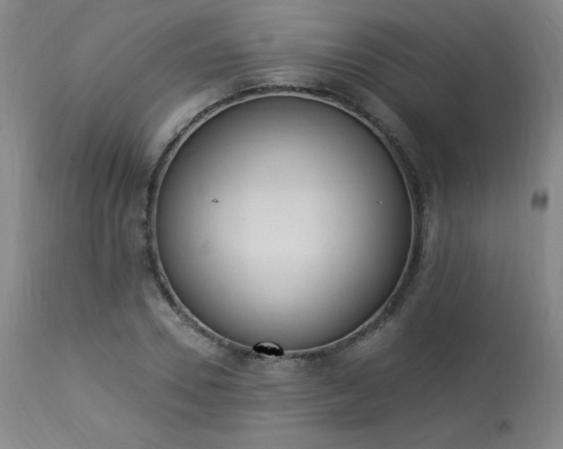 X0000114000930200910021313