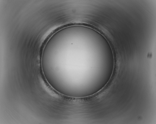 X0000114000934200910021313