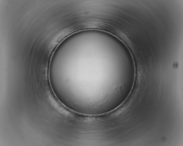 X0000114000938200910021313