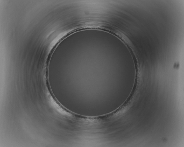 X0000114000941200910021313
