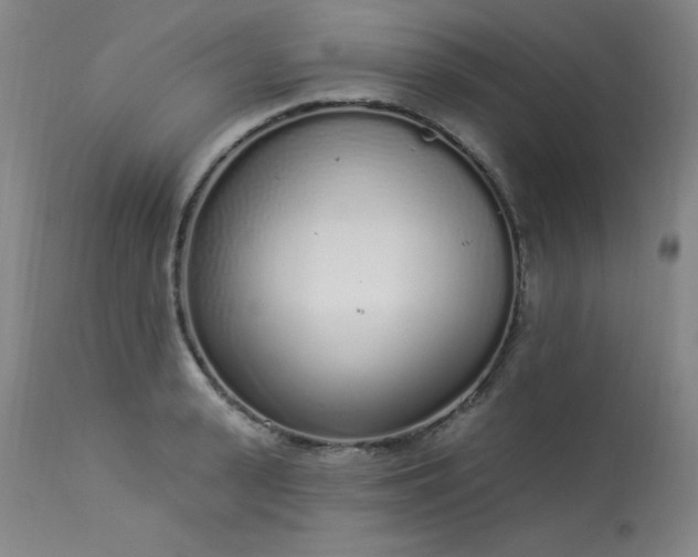 X0000114000943200910021313