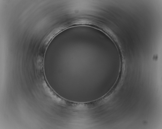 X0000114000945200910021313