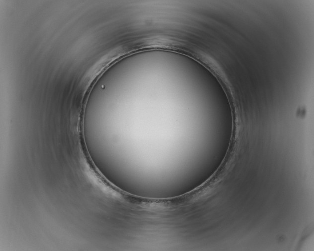 X0000114000946200910021313