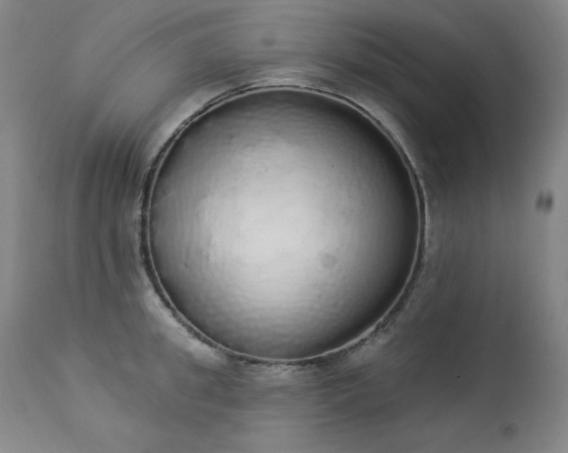 X0000114000949200910021313
