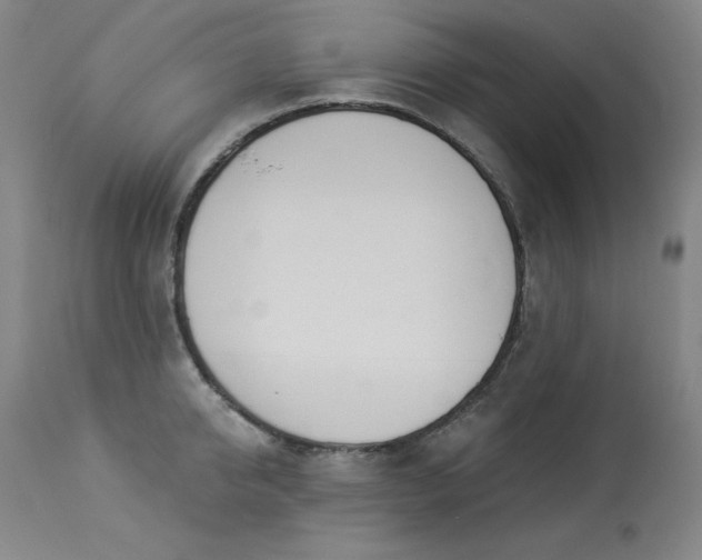 X0000114000950200910021313