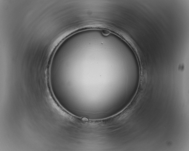 X0000114000951200910021313