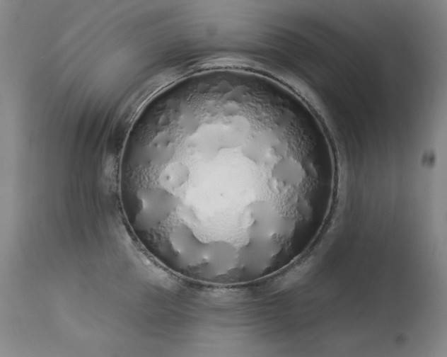 X0000114000953200910021313