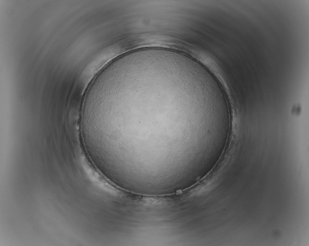 X0000114000954200910021313