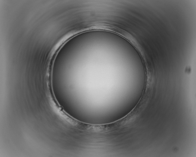 X0000114000955200910021313