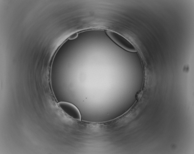 X0000114000956200910021313