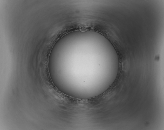 X0000114000961200910021312
