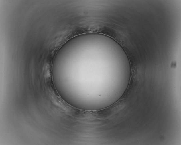 X0000114000962200910021312