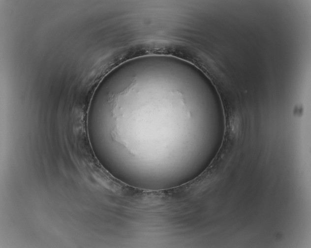 X0000114000964200910021312
