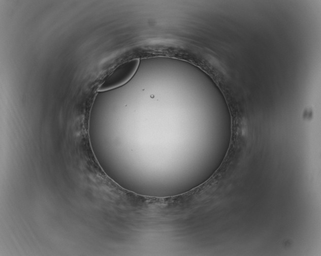 X0000114000965200910021312
