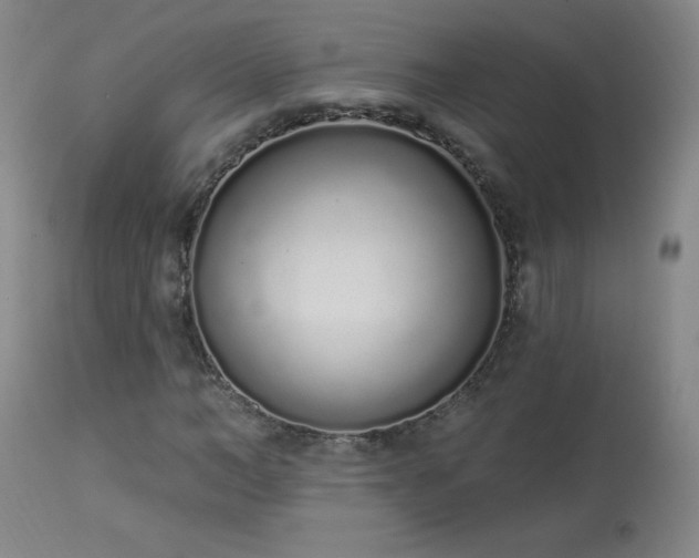 X0000114000966200910021312