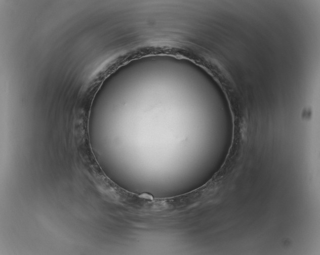 X0000114000968200910021312