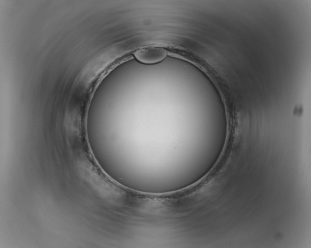 X0000114000969200910021312