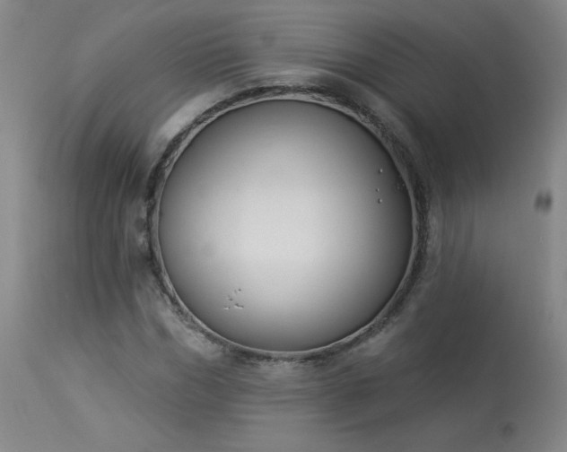 X0000114000970200910021312