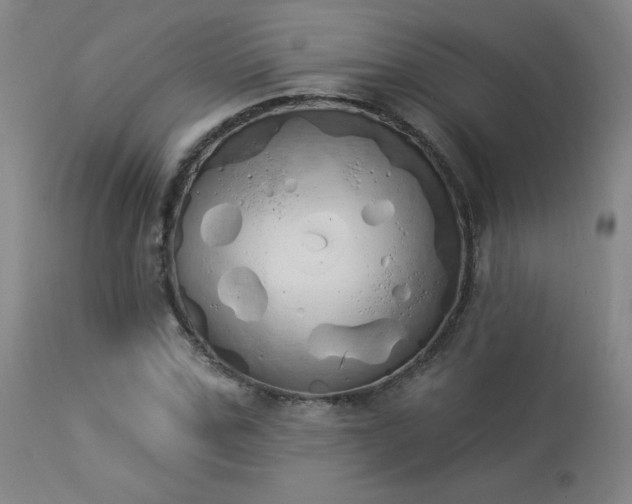 X0000114000971200910021312