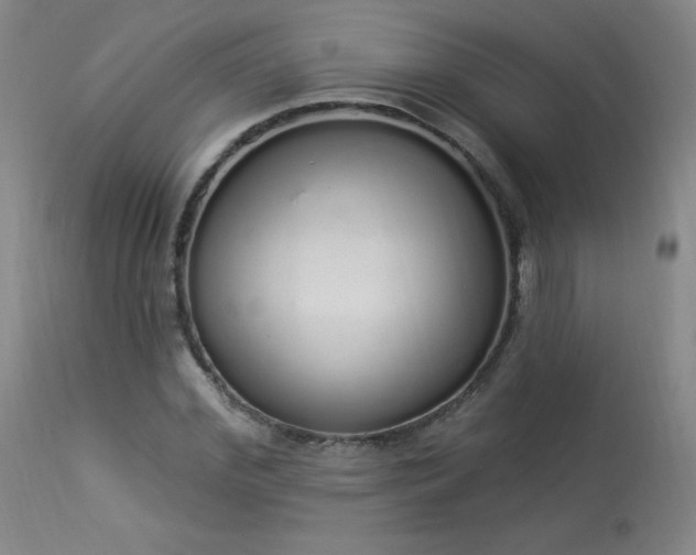 X0000114000972200910021312