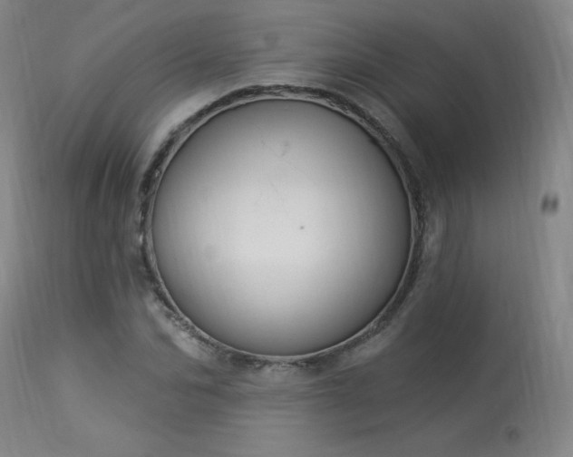 X0000114000974200910021312