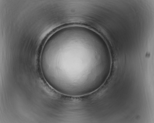 X0000114000975200910021312