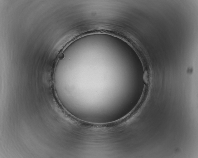 X0000114000977200910021312
