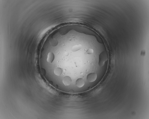 X0000114000979200910021312