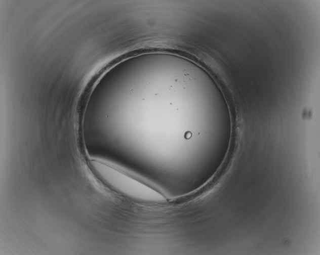 X0000114000981200910021312