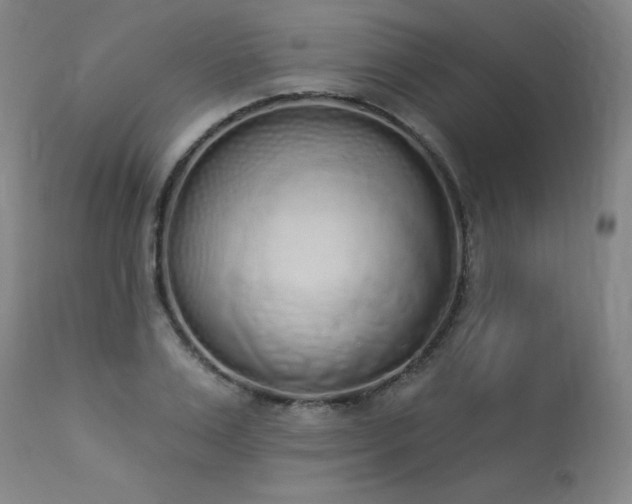 X0000114000983200910021312